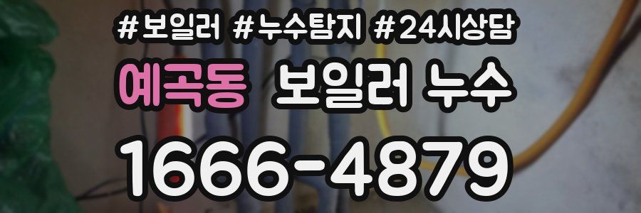 예곡동 누수탐지