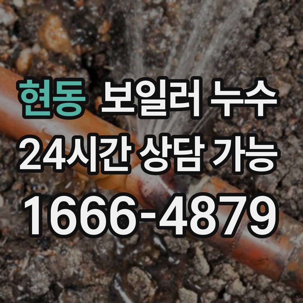 현동 보일러 누수 보일러실 주변만 유독 축축한 이유