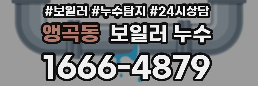 앵곡동 누수탐지