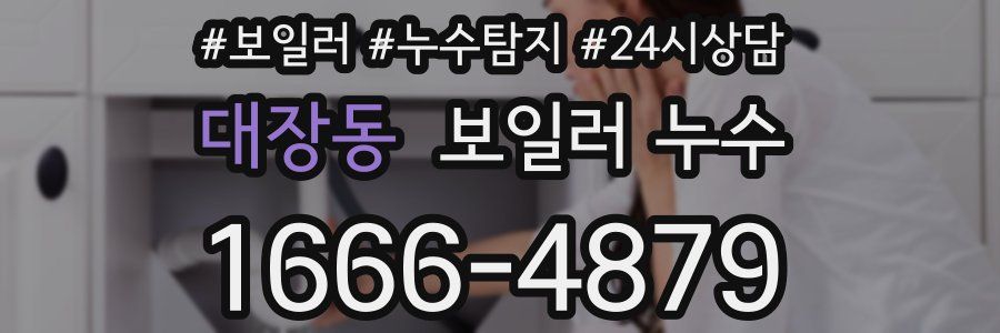 대장동 누수탐지