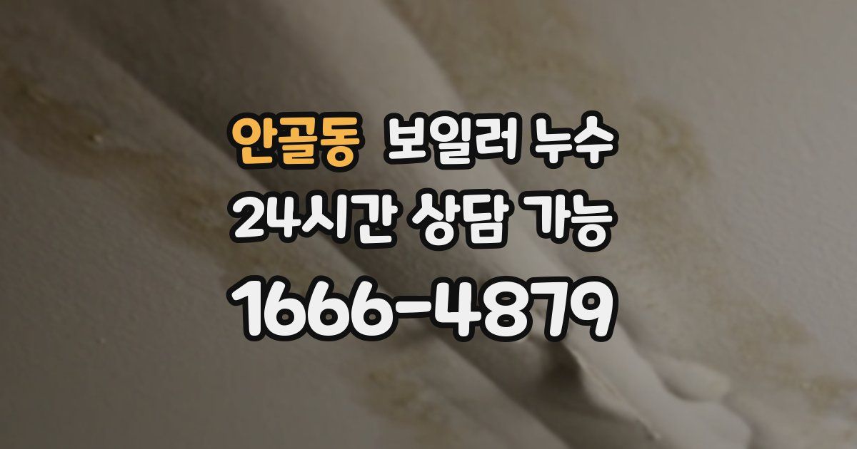 안골동 보일러 누수