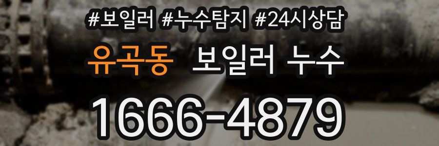 유곡동 누수탐지