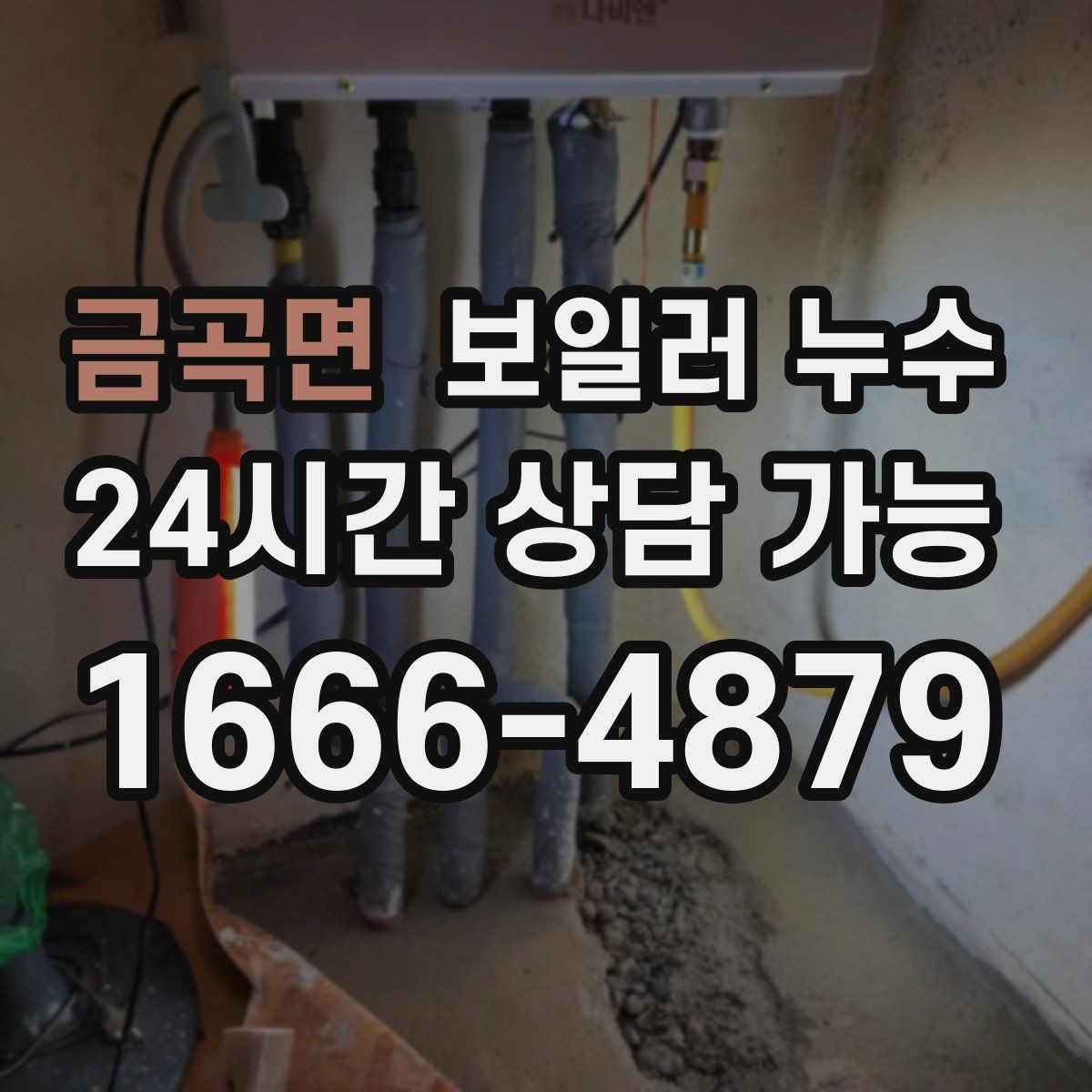 금곡면 보일러 누수 수납장 뒤 벽이 눅눅할 때 점검