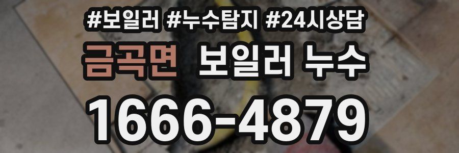 금곡면 누수탐지