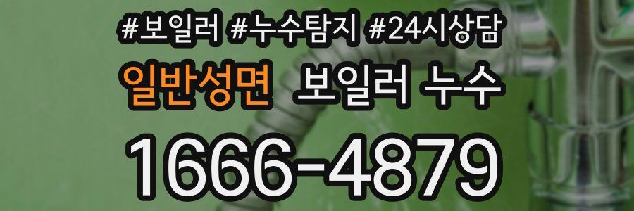 일반성면 누수탐지