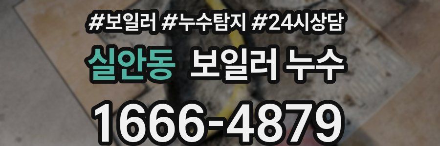 실안동 누수탐지