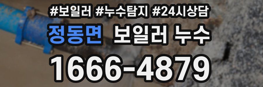 정동면 누수탐지