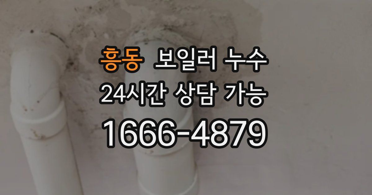 흥동 보일러 누수