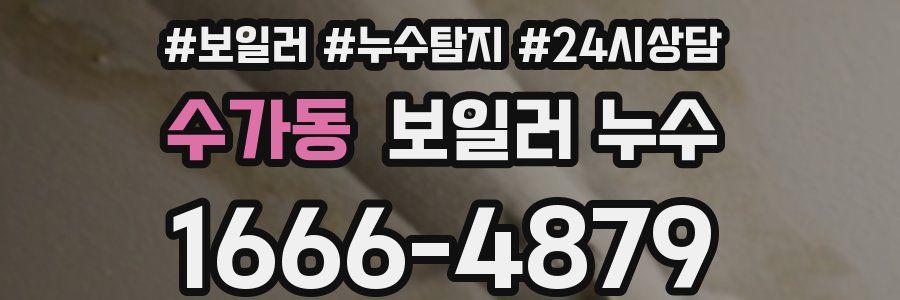 수가동 누수탐지