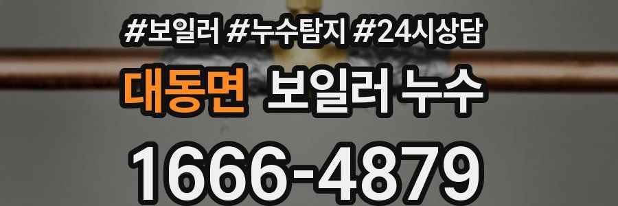 대동면 누수탐지