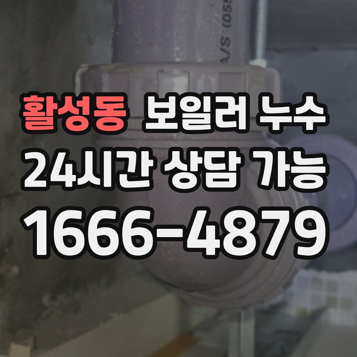 활성동 보일러 누수 거실만 젖는 경우 점검 포인트