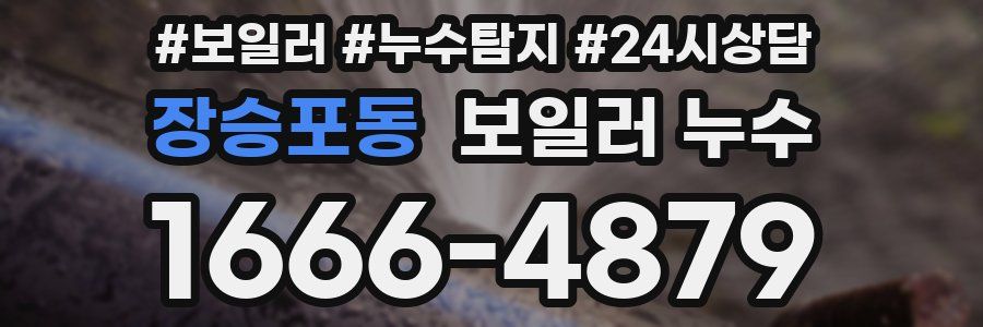 장승포동 누수탐지