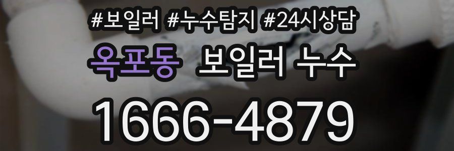 옥포동 누수탐지