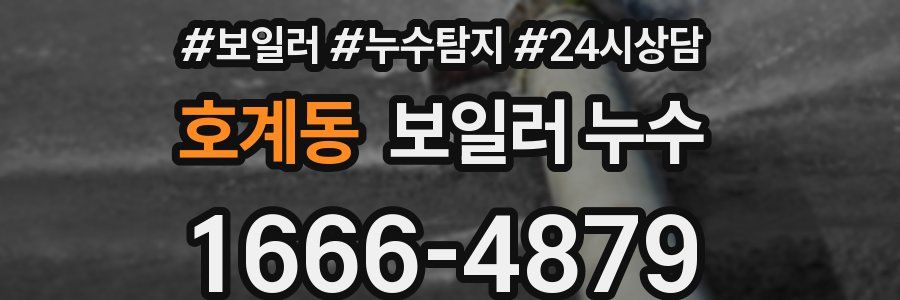 호계동 누수탐지