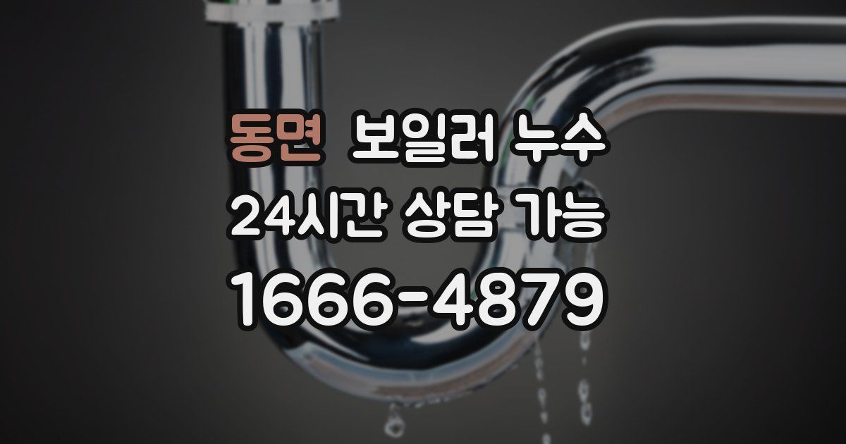 동면 보일러 누수