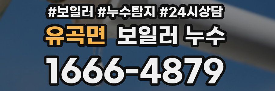 유곡면 누수탐지