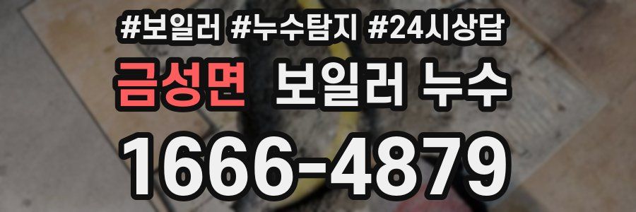 금성면 누수탐지