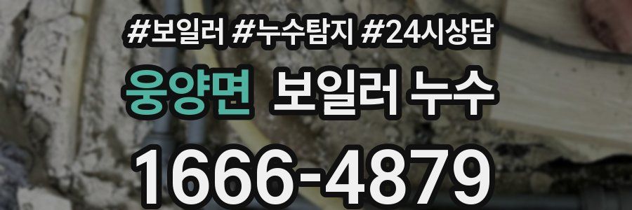 웅양면 누수탐지