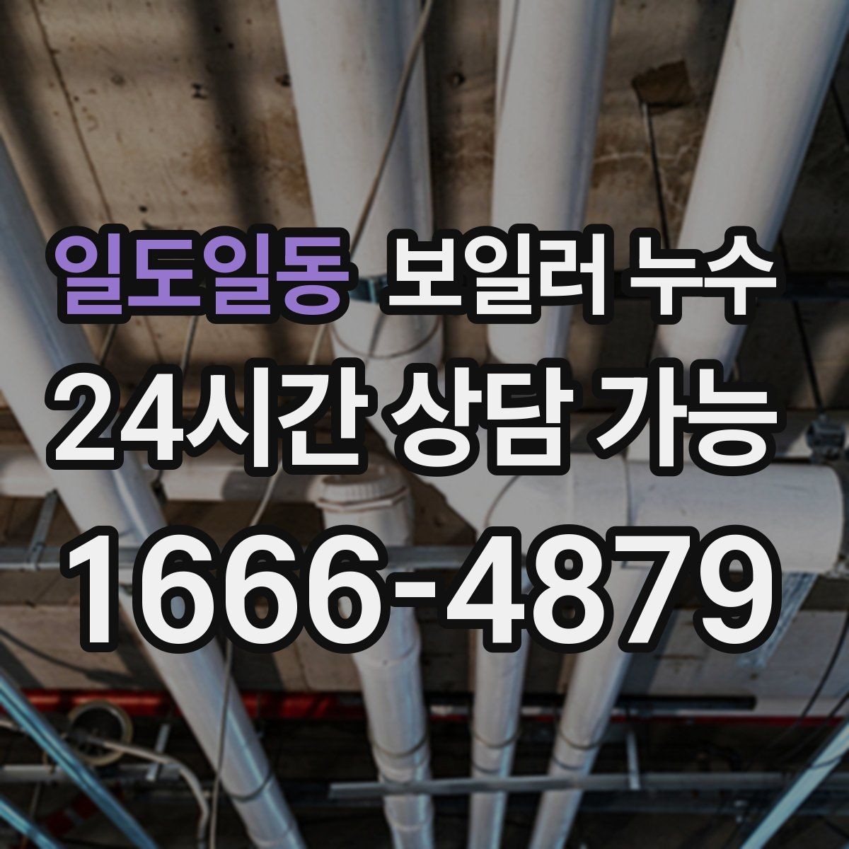 일도일동 보일러 누수 방만 젖는 경우 점검 포인트