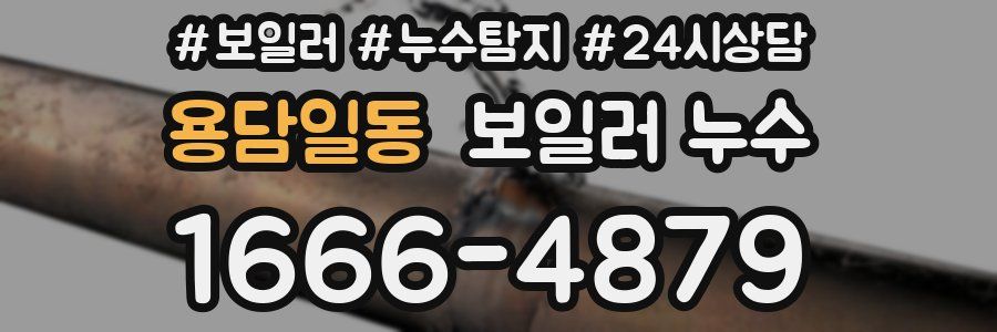 용담일동 누수탐지