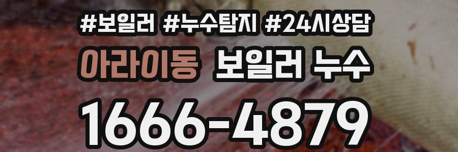 아라이동 누수탐지