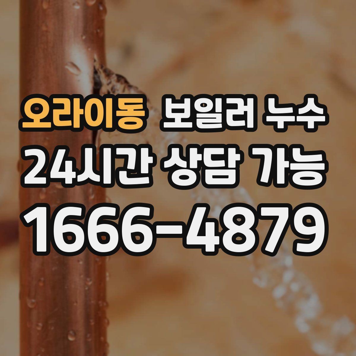 오라이동 보일러 누수 보일러실 물기와 악취가 동시에 날 때