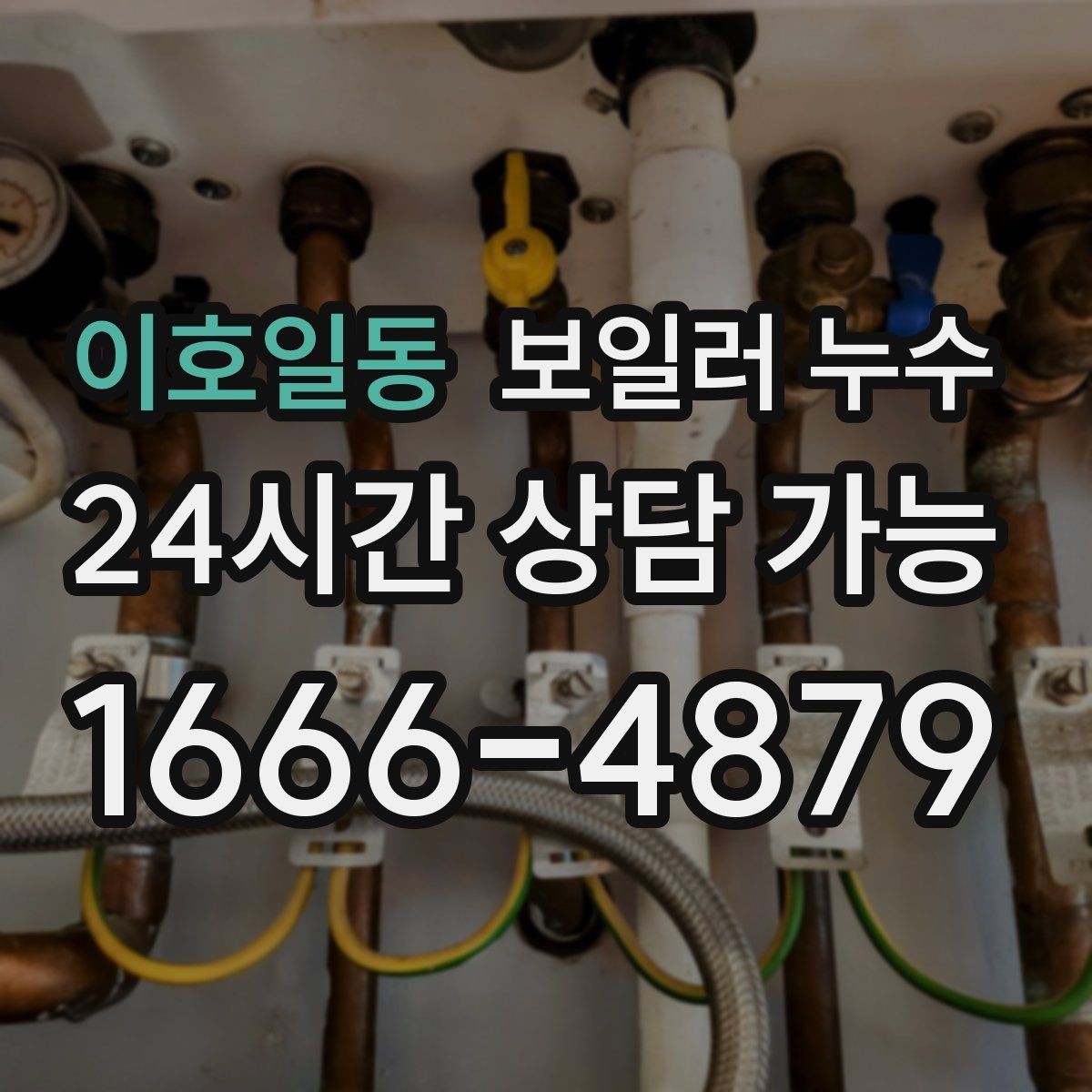 이호일동 보일러 누수 필요한 조치만 진행하는 합리적 순서