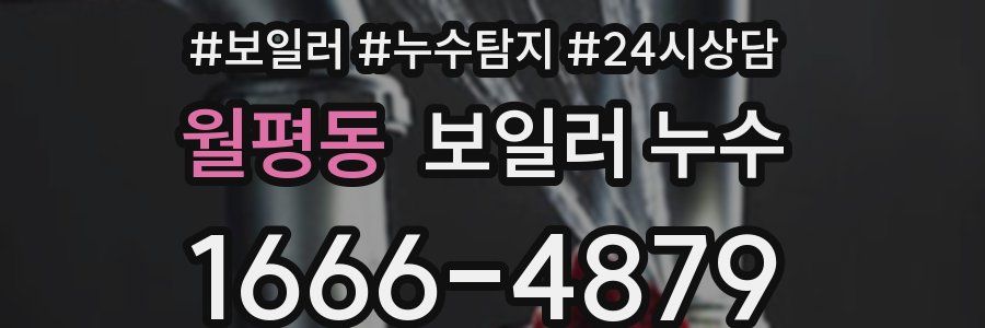 월평동 누수탐지