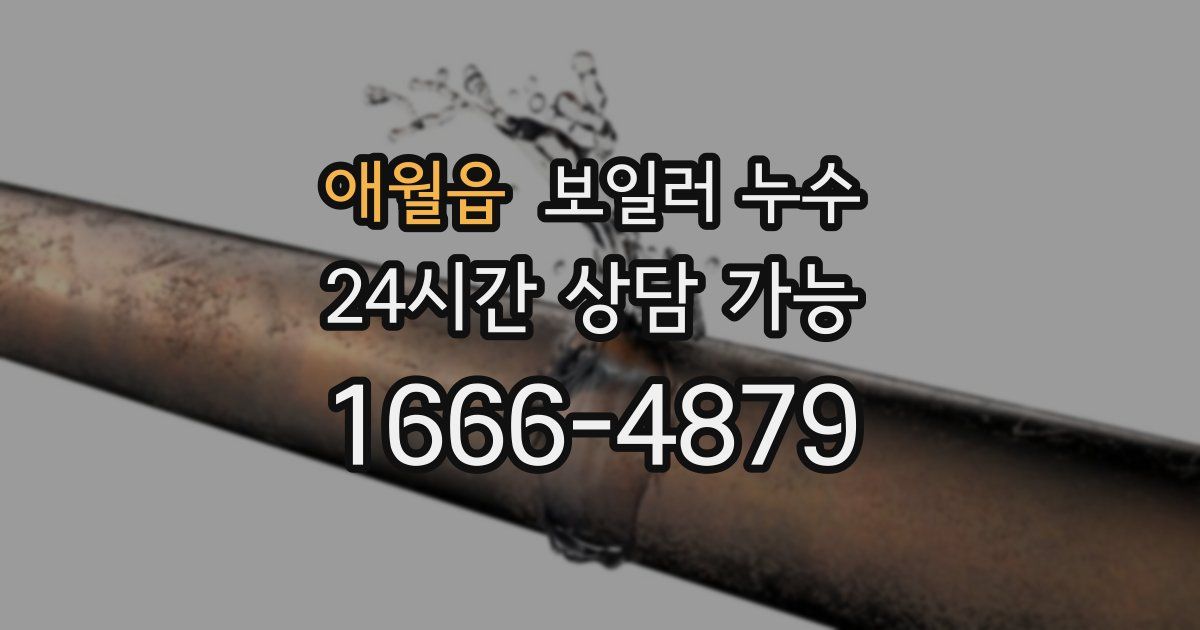 애월읍 보일러 누수