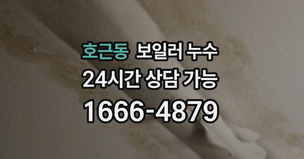 호근동 보일러 누수