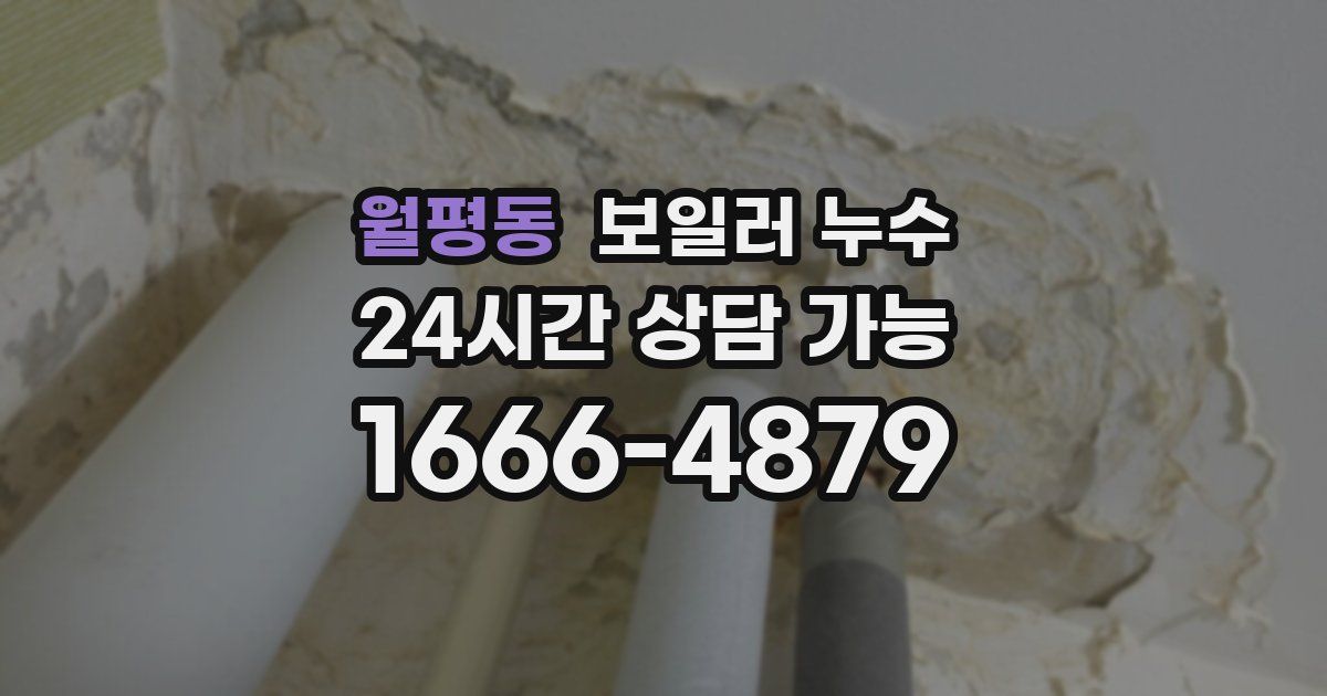 월평동 보일러 누수