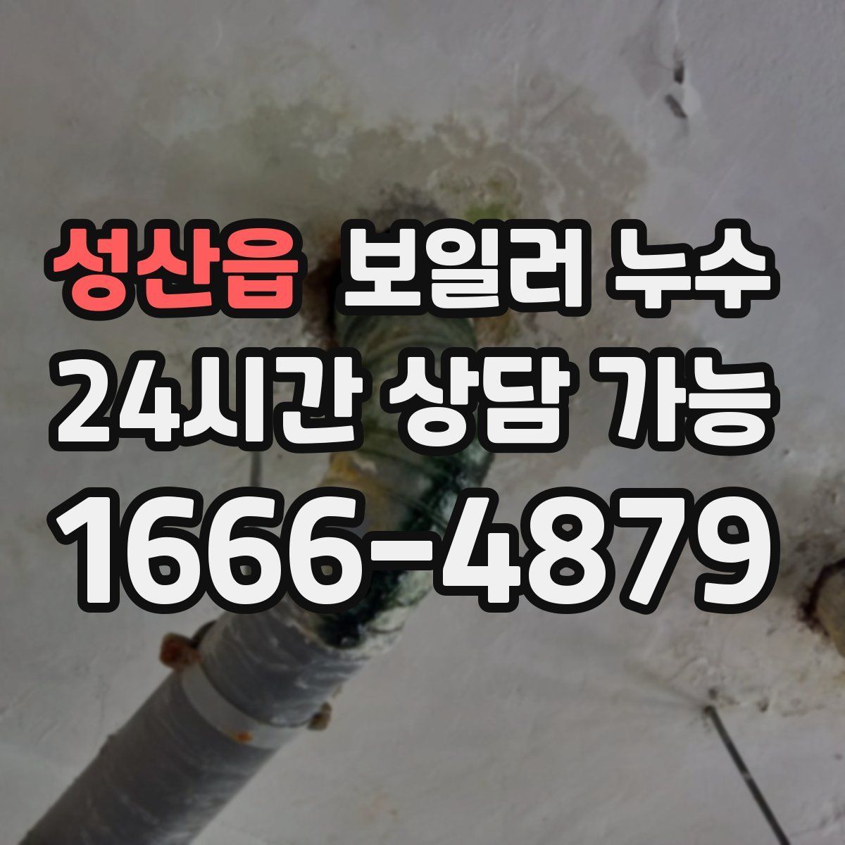 성산읍 누수