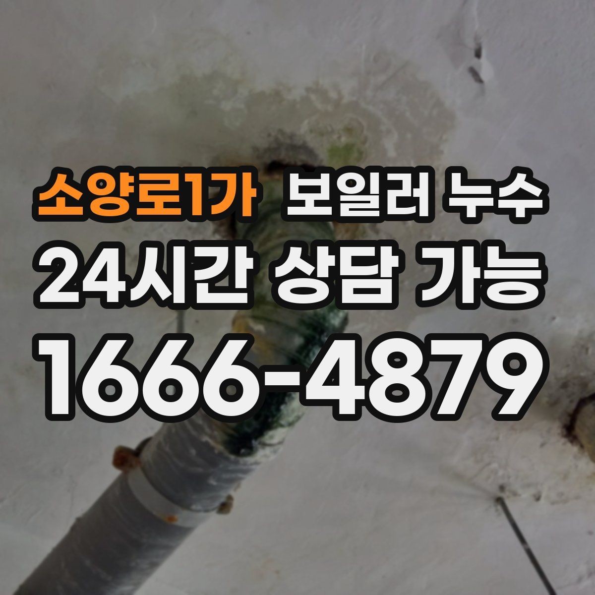 소양로1가 보일러 누수 바닥 손상과 도배 손상으로 번지기 전