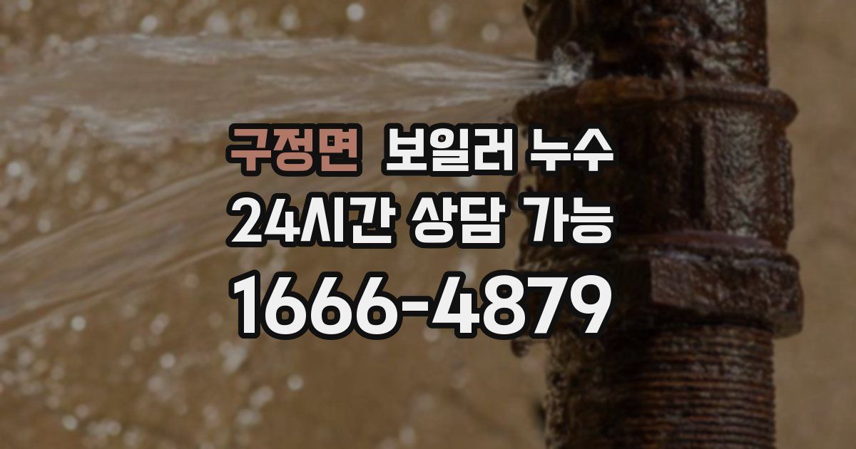 구정면 보일러 누수