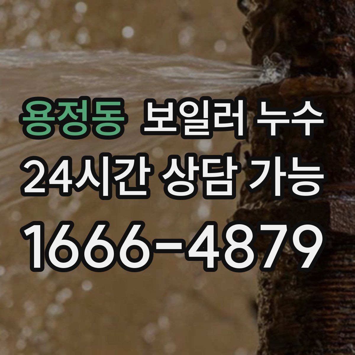 용정동 보일러 누수 곰팡이가 빨리 늘어나는 환경 정리