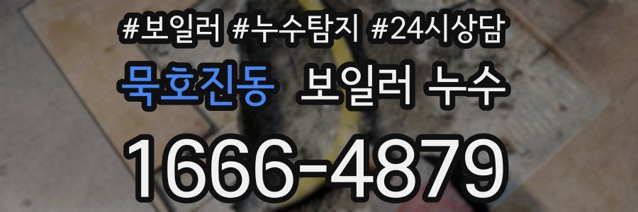 묵호진동 누수탐지