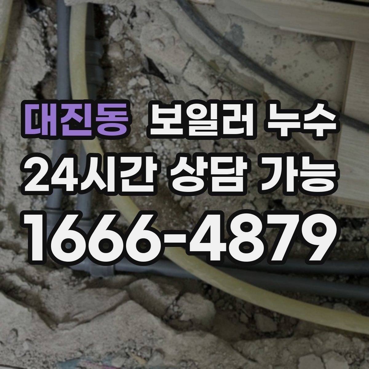 대진동 보일러 누수 장판 아래 곰팡이 냄새가 날 때