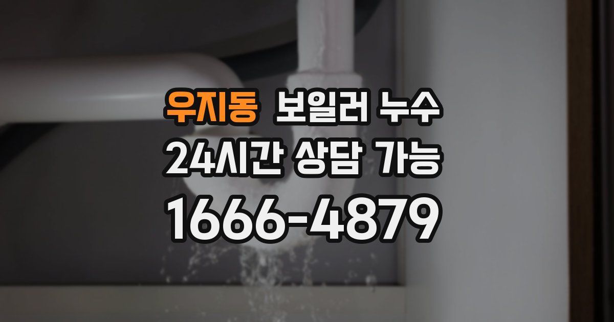 우지동 보일러 누수