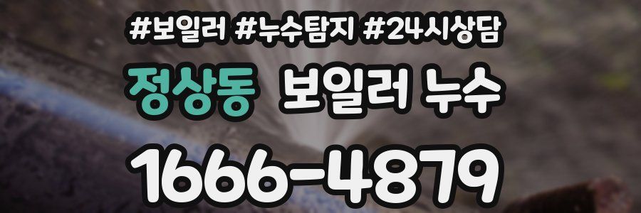 정상동 누수탐지