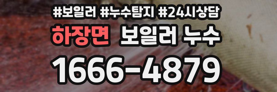 하장면 누수탐지