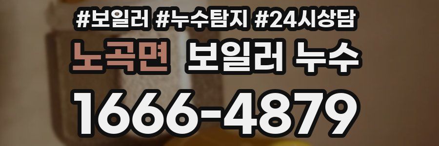 노곡면 누수탐지