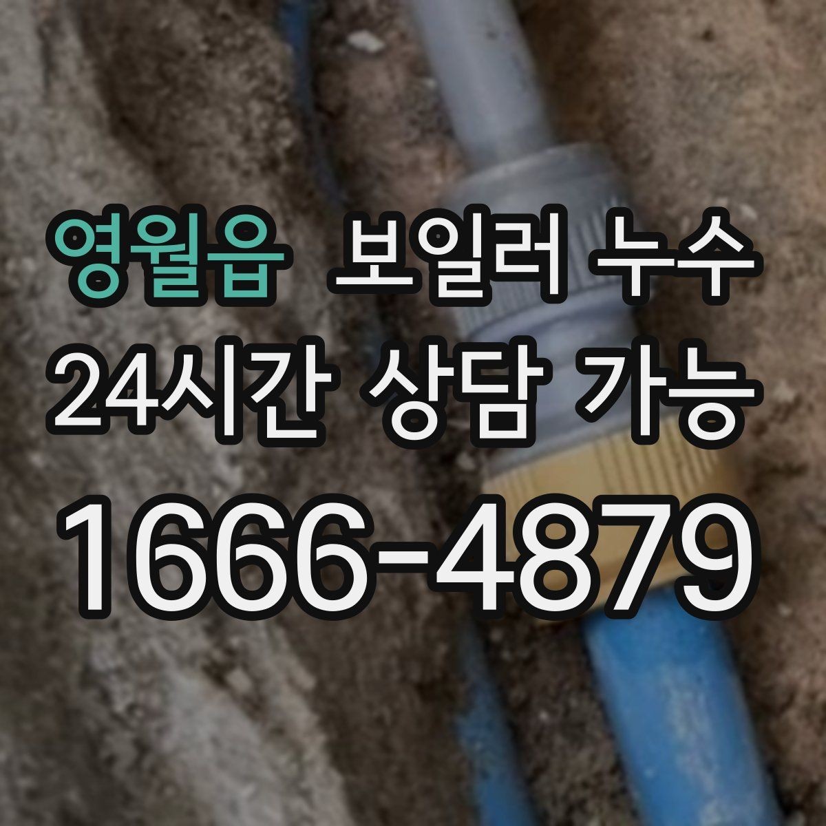 영월읍 보일러 누수 전기 스위치 주변 변색이 보이면