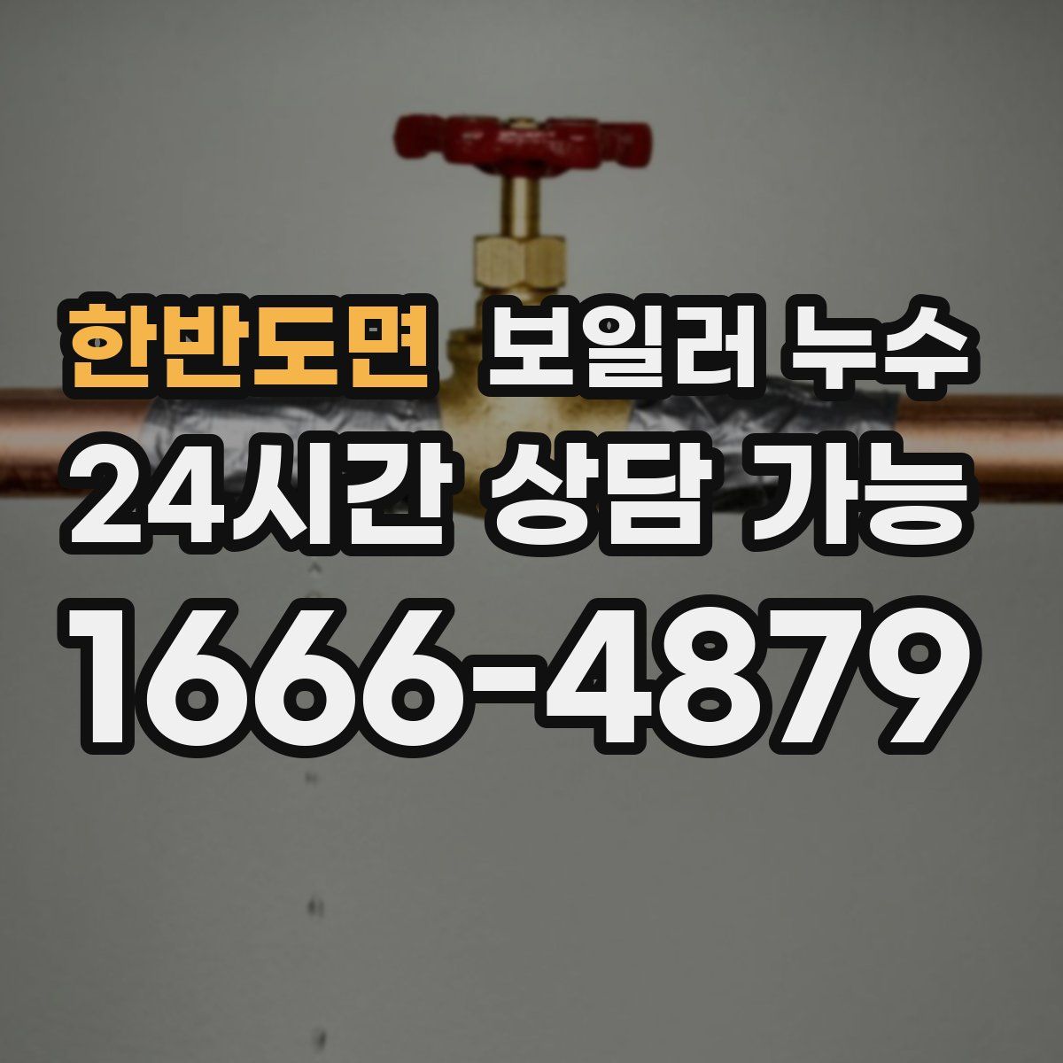 한반도면 누수