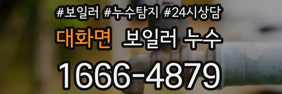 대화면 누수탐지