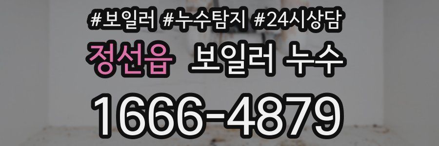 정선읍 누수탐지