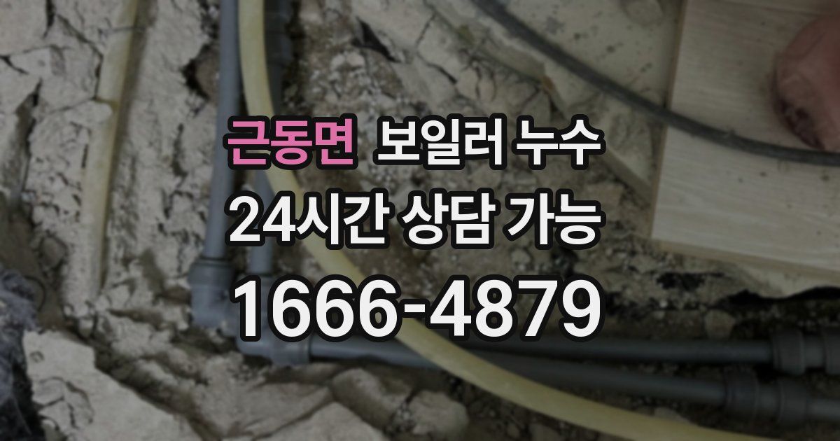 근동면 보일러 누수