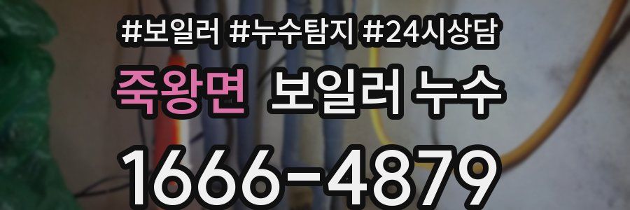 죽왕면 누수탐지