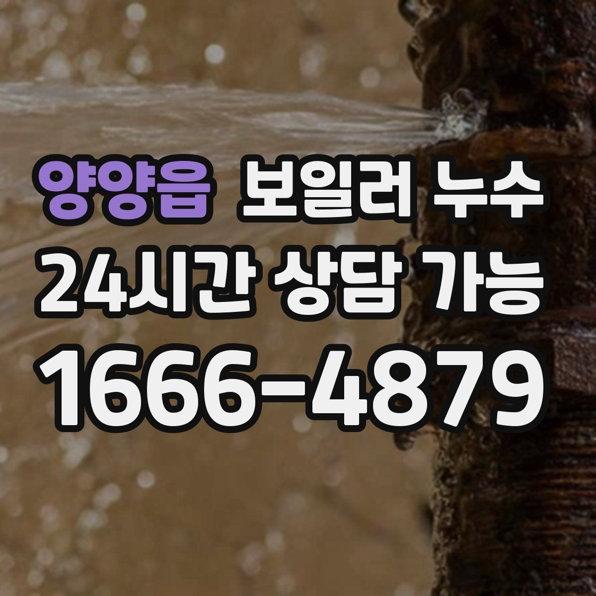 양양읍 보일러 누수 장마철 습기와 헷갈릴 때 구분