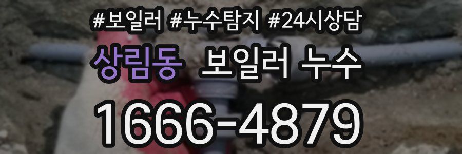 상림동 누수탐지