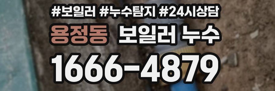 용정동 누수탐지